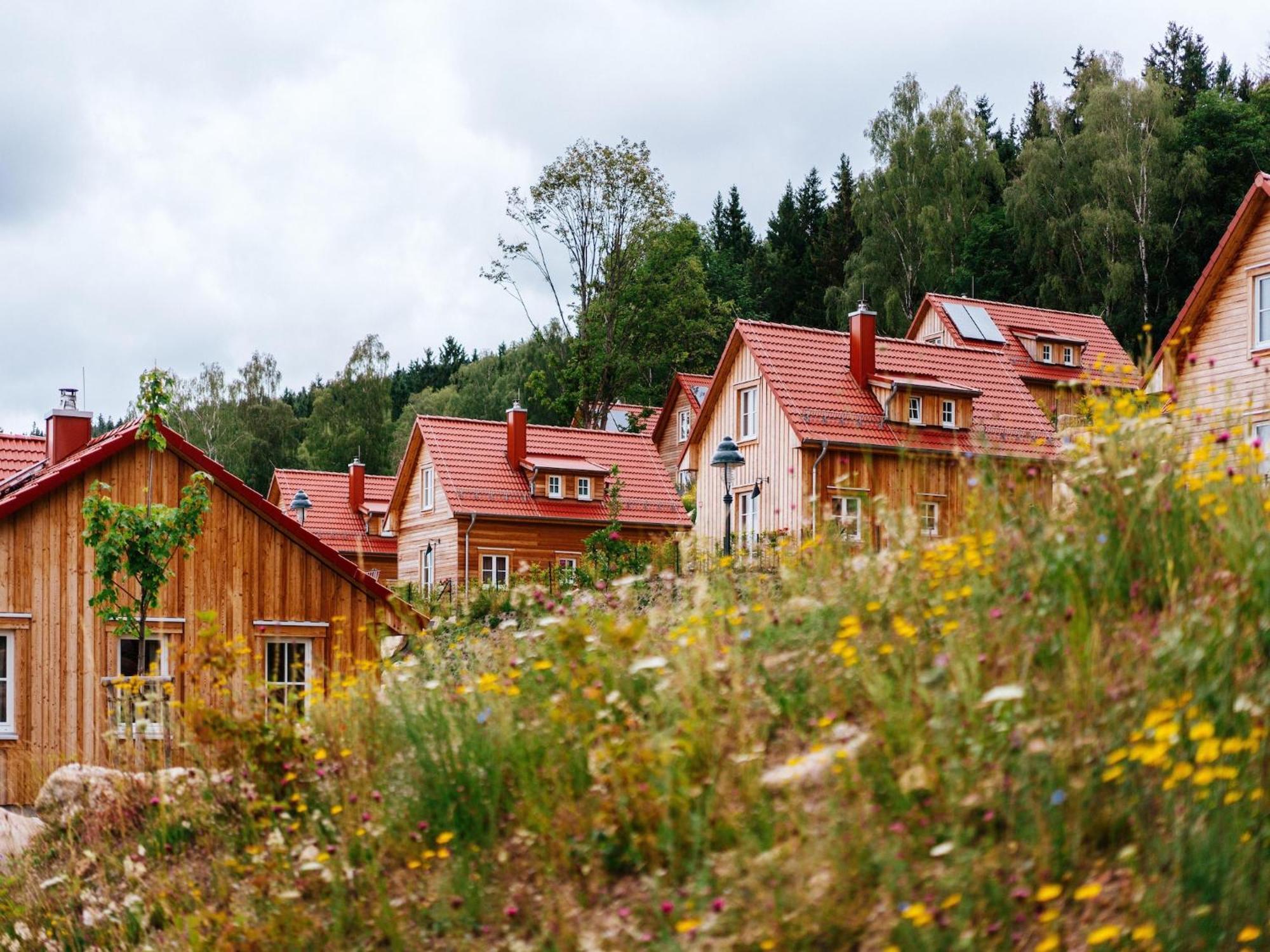 Homes In The Harzresort On The Brocken Casa vacanze Schierke